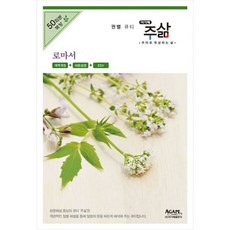 주야로묵상하는삶