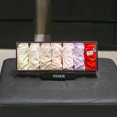 비너스요일팬티