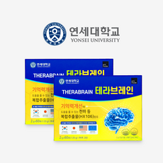 테라브레인