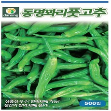 동명꽈리풋고추 씨앗 1000립