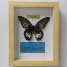e544d01054f5324e7fd731b55c2947b5cf0dac0aa81ab5e62cf2e6d31de7.jpeg