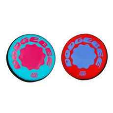 돗지비플라잉디스크