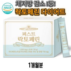 테팔퀵스티머액세스스팀퍼스트