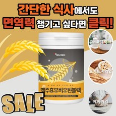 구찌고티크