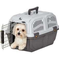 애완동물 중서부 주택 Skudo 24인치 플라스틱 고양이 캐리어통합형 쓰레기통, Gray, 19-Inch Standard, 1개