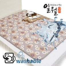 일월 빨아쓰는 워셔블 전기매트 민트햇살 더블 전기요