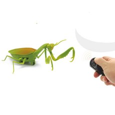 무선조종사마귀