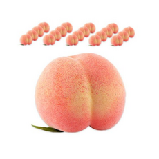 복숭아모형