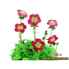0a533babfb9aa148bf0e5d4eeab1e5c4d39d239329fe4d1ad18cae959d69.jpg
