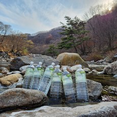 울릉도크루즈-추천-상품