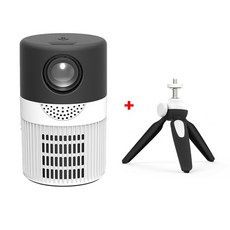 프로젝트매니아pm1080