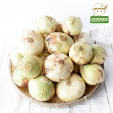 삼촌밥먹자 [삼촌농장] 21년 수확 신선한 무안 햇 양파(중) 3kg 5kg 10kg