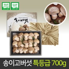 [보자기구성] 송이고버섯 특등급 선물세트 700g 당일수확 생산자 발송, 송이고버섯세트 700g
