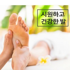 만병을치료하는발지압법