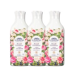 르샤트라로즈제라늄