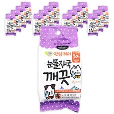 비숑눈물자국