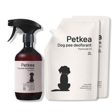 펫케아 강아지탈취제 피톤치드 천연 스프레이 반려견 오줌냄새 제거, 1개, 4L 1개, 4L