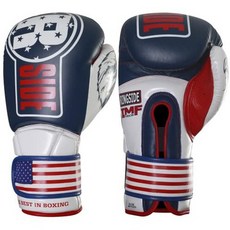 Ringside 링사이드 USA imf 기술 복싱 킥복싱 무에타이 훈련 장갑 펀칭 미트 스파링 PROD34000123, One Color