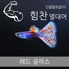 51ea1b10397e7a6a3b1e8b3b3460433a21e78f6d9a369c4f40d720bc603d.jpg