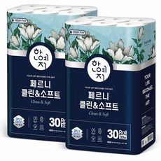 한예지비데티슈