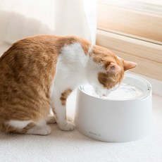 추천2 고양이물그릇