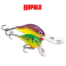 루어앤플라이피싱lure&flyfishing