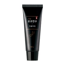 리리코스 동의본초연구 한방생약 잇몸치약100gX1입, 옵션없음, 옵션없음