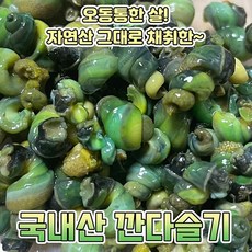 다슬기살