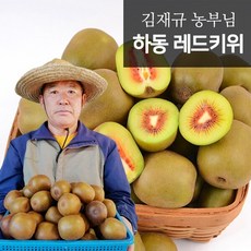 GAP인증 하동 레드키위 5kg(35~30개)(왕점보), 없음, 1개