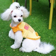 9e8f177737f45c7bfe99c0922ca2a0cc171a9cb0a5cbc81882ae04b9cbe5.jpg