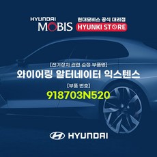 알터네이터노이즈