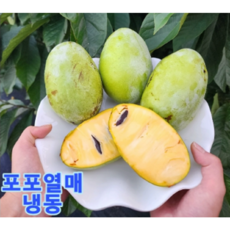 포포열매 산지직송 포포나무열매 이색과일 이색열매 재철열매 제철열매 재철과일 제철과일 최상품 (냉동), 1kg, 5개