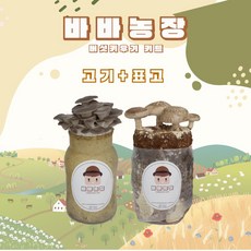 바바농장 1+1 국내산 버섯 키우기 키트 고기 느타리 황금팽이 표고버섯 노루궁뎅이 배지 베지 재배기 집에서할수있는취미, 1세트, 고기느타리+표고