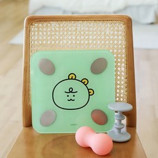 카카오스마트체중계 TOP01