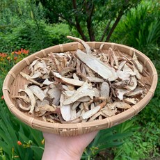 산청감초