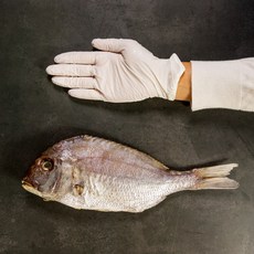 [신안수산물] 국내산 참돔 반건조 생선 찜 구이 제수용 특대사이즈, 1개
