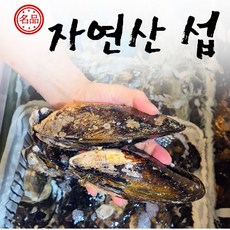 청정 동해안 100% 자연산 섭 홍합, 1개, 1kg (4~5미)