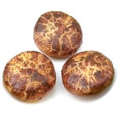 백화고 버섯 모형 건표고 말린표고 머쉬룸 7.3cm 인조 야채 가짜 채소 모조 PR