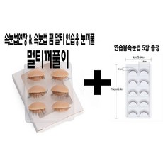 연습용속눈썹