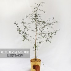 bd043eea7a0d781c0dccde24e0515efcdf81292ab76160db55f2ad8fef07.jpg