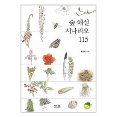 숲 해설 시나리오 115 (마스크제공)