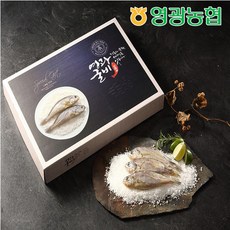 영광농협 영광굴비 오가선물세트 4호 (1.45kg 10마리), 고급선물포장, 1세트