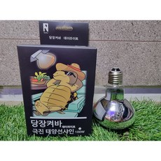 당장켜봐 세라믹 스팟 램프 100W 파충류 육지거북 조명, 1개