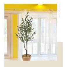더알로하 인조나무 9종 대형 조화나무, 올리브나무130