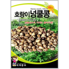 호랑이넝쿨콩 30g / 넝쿨성 콩 씨앗 종자 텃밭 채소키우기 + 서비스씨앗증정