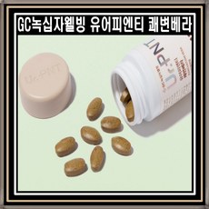 웰빙알로에환