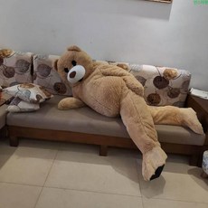 졸사컨셉