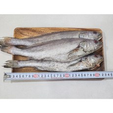 제수용 통 대 민어 3미, 1세트
