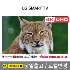 lg85인치