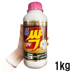 금1키로금액
